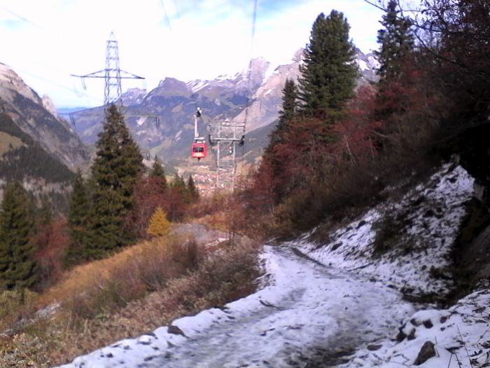IMG_20201020_140335.jpg
