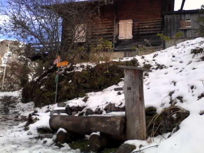 IMG_20201020_140748.jpg