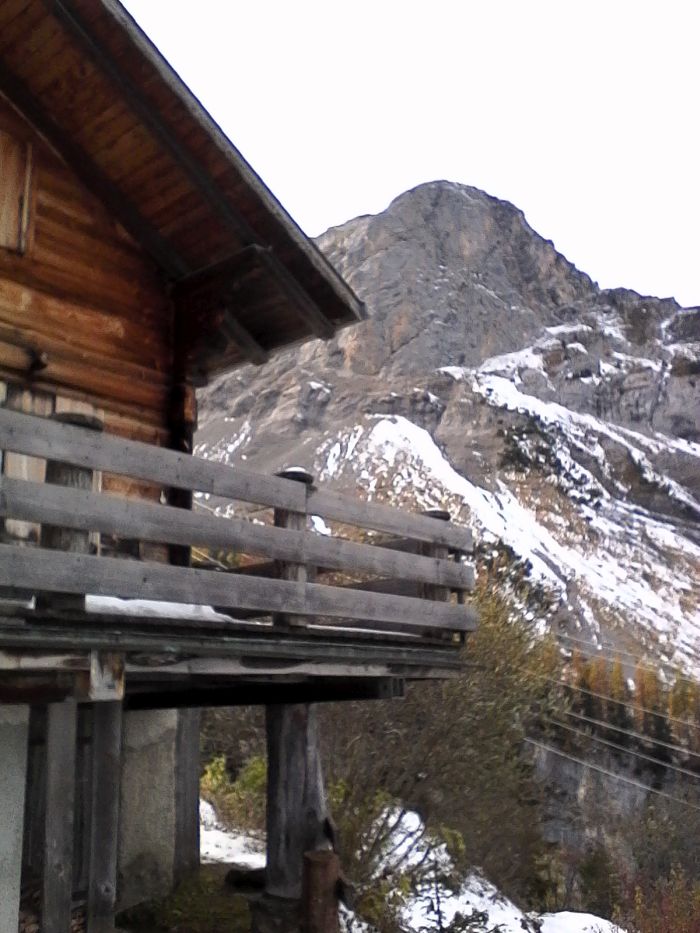 IMG_20201020_141035.jpg
