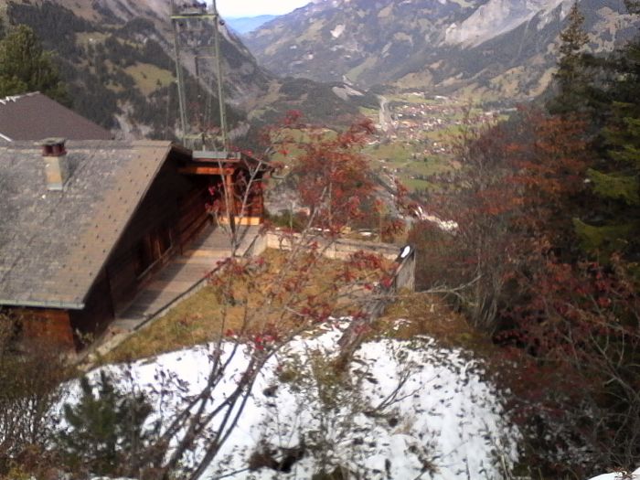 IMG_20201020_141331.jpg