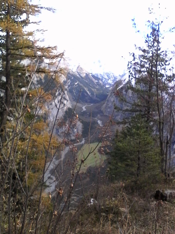 IMG_20201020_141641.jpg