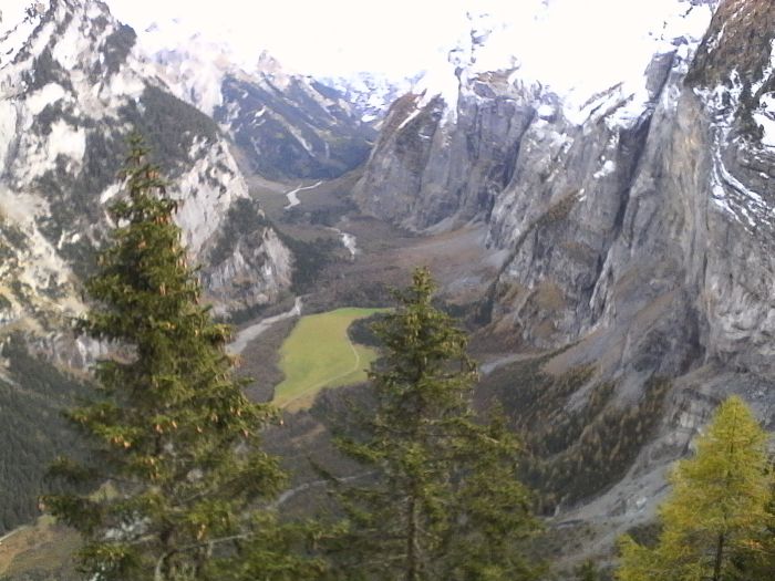 IMG_20201020_141717.jpg