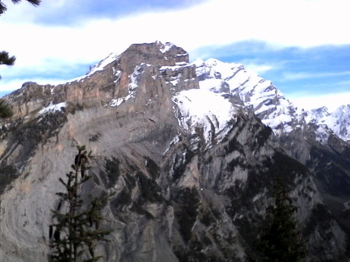 IMG_20201020_141821.jpg