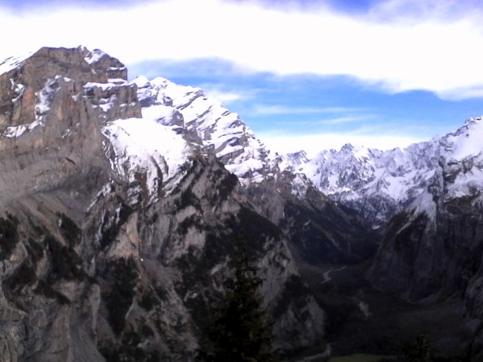 IMG_20201020_141828.jpg