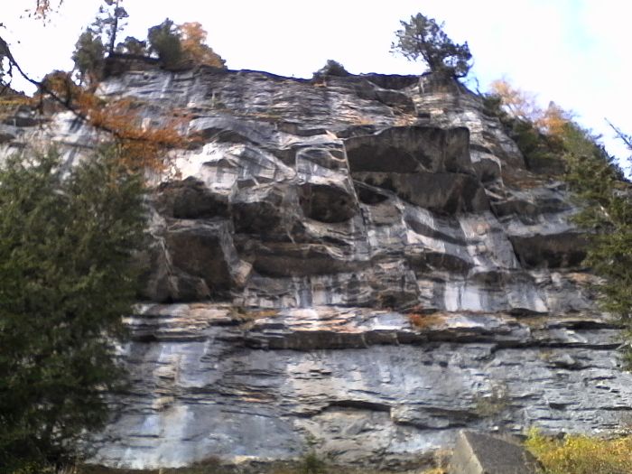 IMG_20201020_142828.jpg