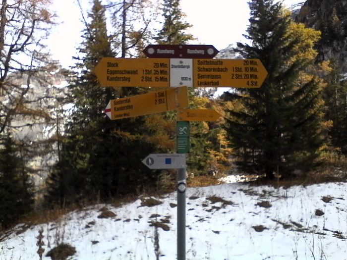IMG_20201020_143524.jpg