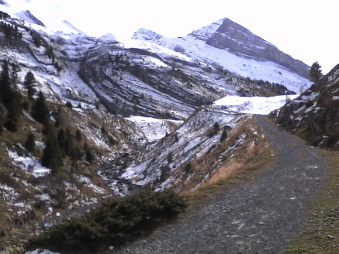 IMG_20201020_143936.jpg