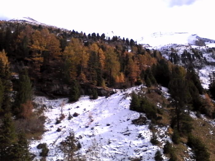 IMG_20201020_144025.jpg
