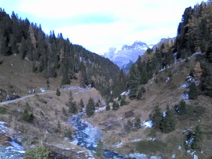 IMG_20201020_144313.jpg
