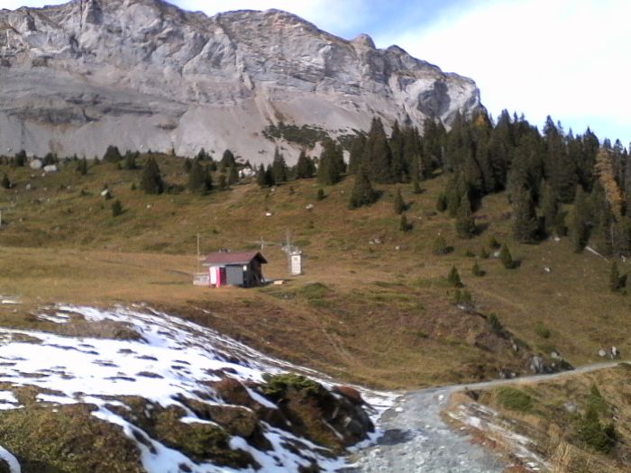 IMG_20201020_144322.jpg