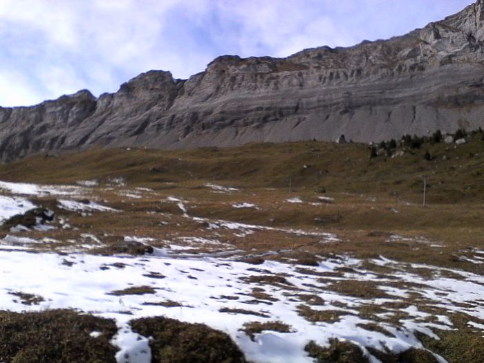 IMG_20201020_144331.jpg