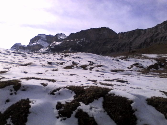 IMG_20201020_144338.jpg
