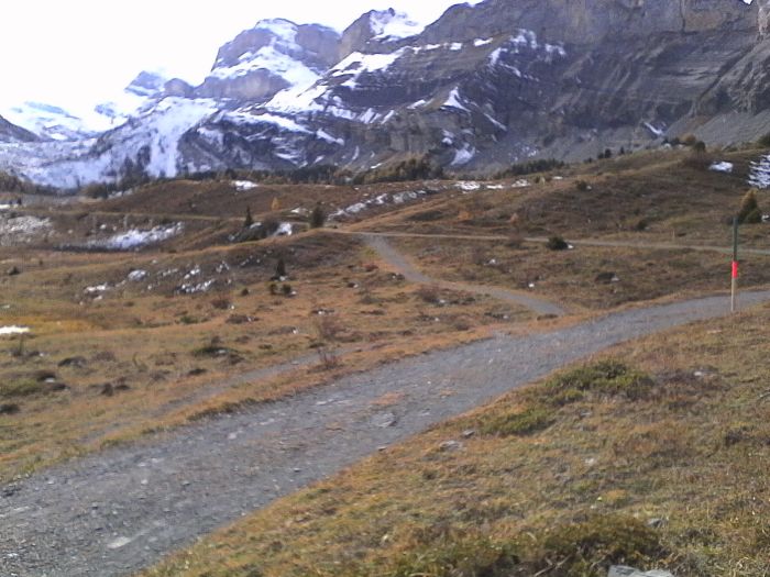IMG_20201020_144949.jpg
