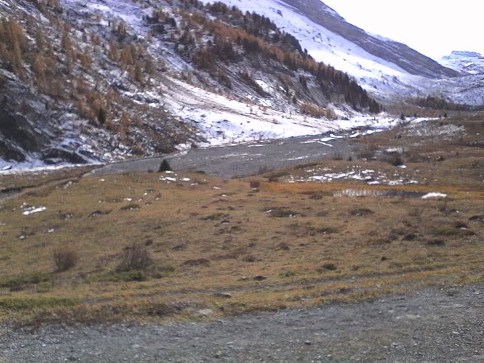 IMG_20201020_145000.jpg