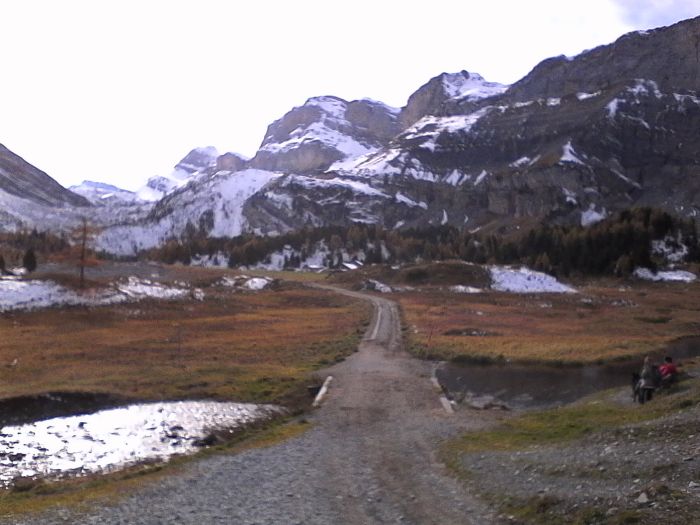 IMG_20201020_145650.jpg