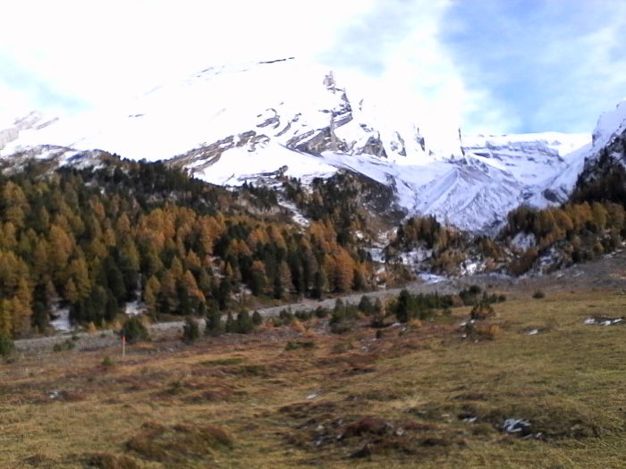 IMG_20201020_150448.jpg