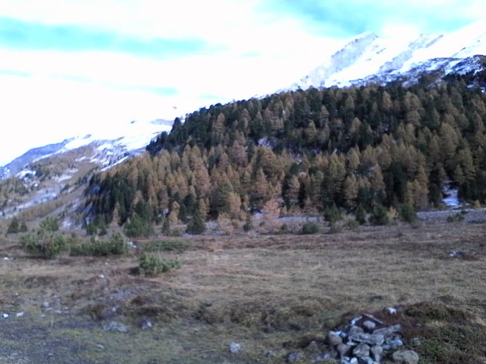 IMG_20201020_150508.jpg