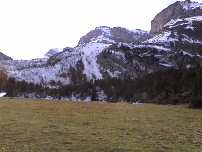 IMG_20201020_150526.jpg