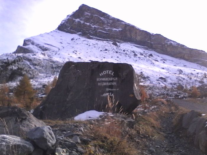 IMG_20201020_150813.jpg
