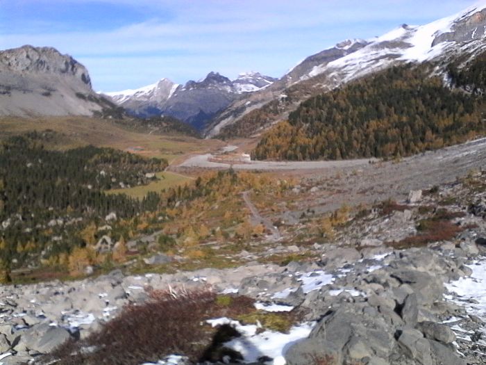 IMG_20201020_151915.jpg