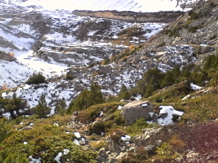 IMG_20201020_152615.jpg