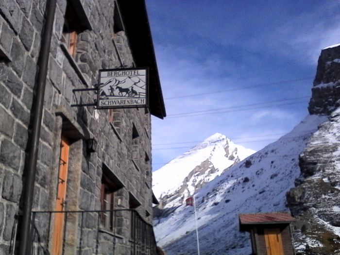 IMG_20201020_153137.jpg