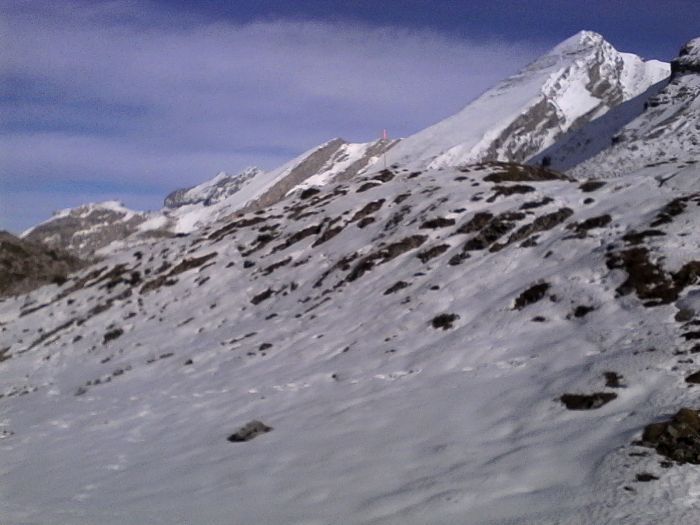 IMG_20201020_154634.jpg
