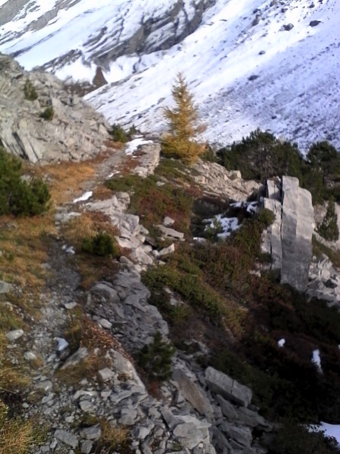 IMG_20201020_162244.jpg