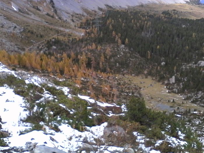 IMG_20201020_163742.jpg