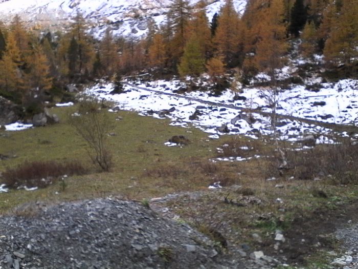 IMG_20201020_164659.jpg