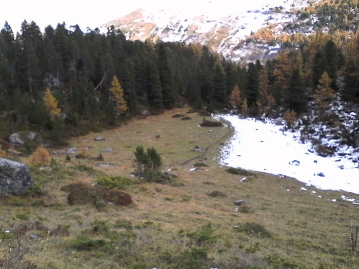 IMG_20201020_165340.jpg