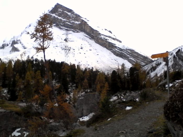 IMG_20201020_165635.jpg