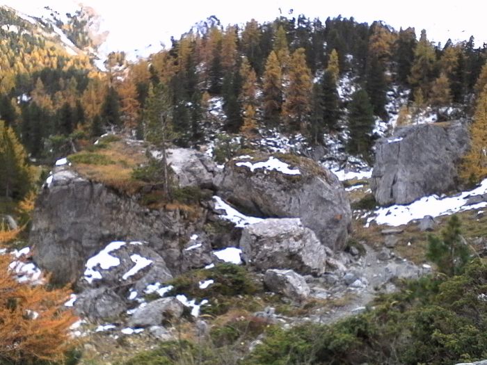 IMG_20201020_165658.jpg