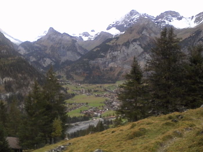 IMG_20201021_151712.jpg