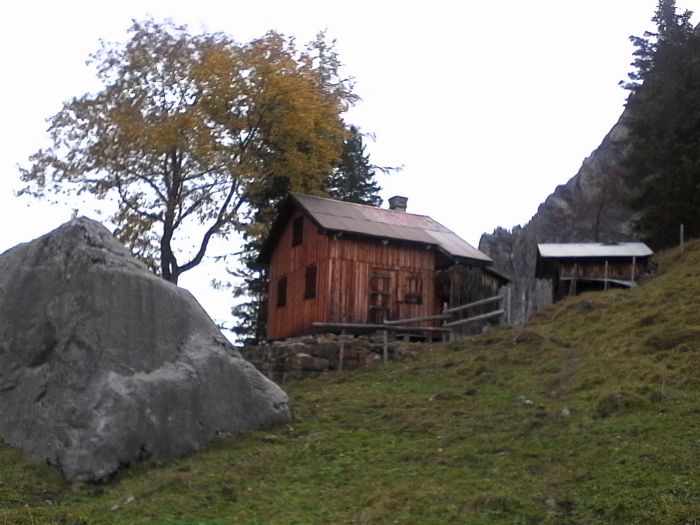 IMG_20201021_151826.jpg