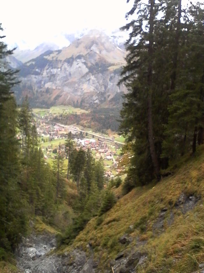 IMG_20201021_152706.jpg