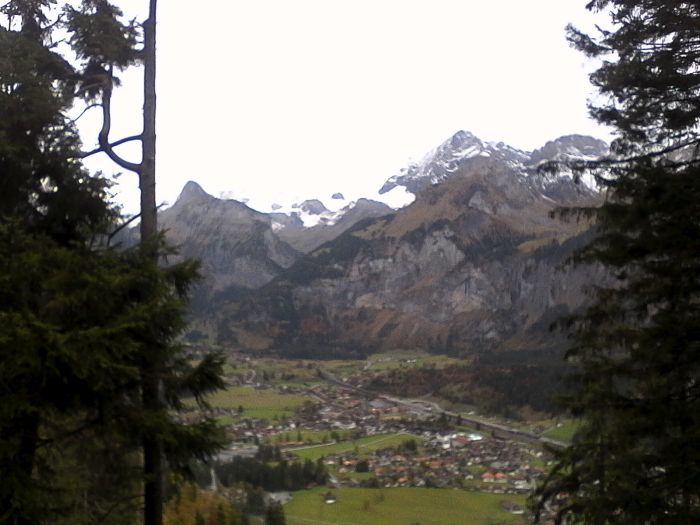 IMG_20201021_153310.jpg