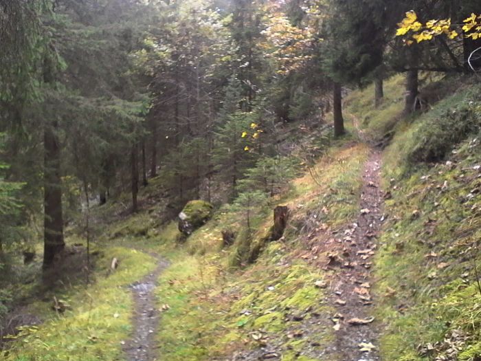 IMG_20201021_154744.jpg