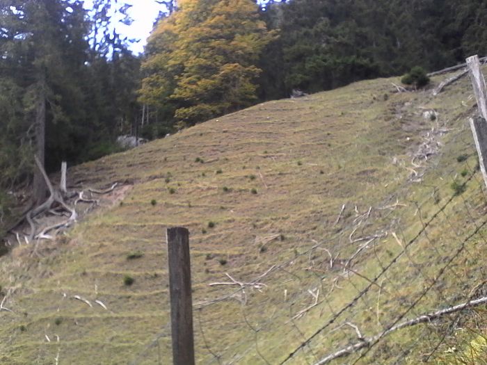 IMG_20201021_173532.jpg