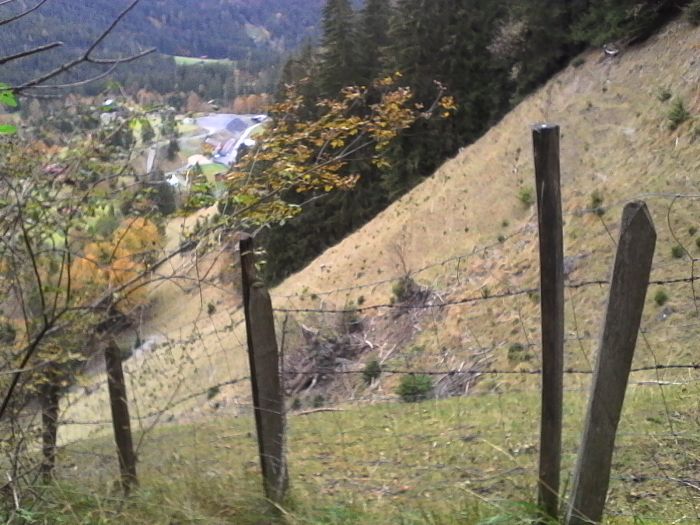 IMG_20201021_173547.jpg