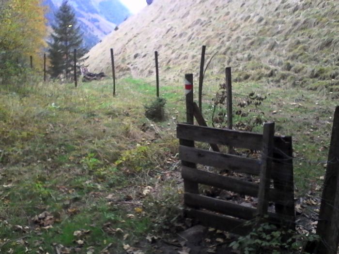 IMG_20201021_180634.jpg